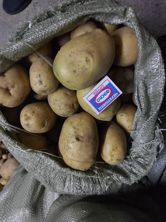 Продам картошку мешками