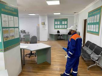 Дезинсекция от клопов