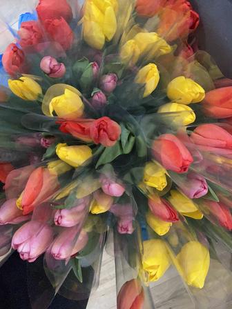 Тюльпаны! Предзаказ к 8 марта!