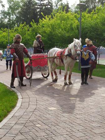 Аренда кареты, колесницы