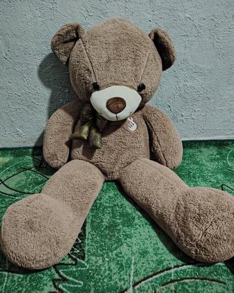 Медведь шоколадного цвета