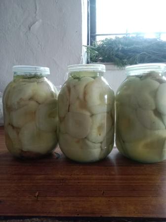 продам грибы грузди каркаралинские