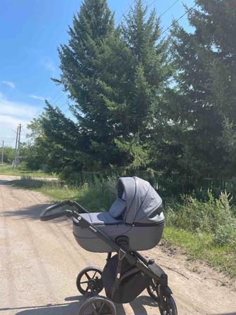 Детская коляска Adamex Bibione универсальная 2 в 1