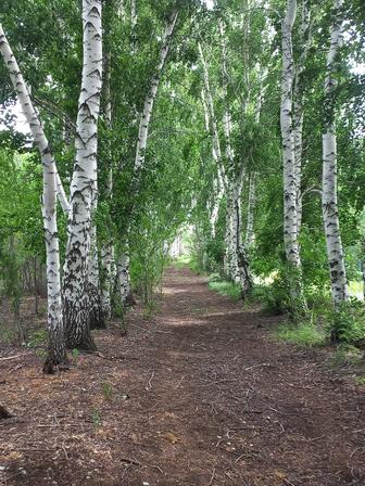 Прием метал цветной, черный