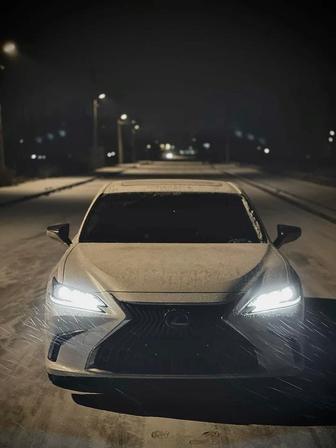 Трезвый водитель