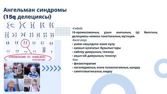 Делаю презентации на заказ! На любые темы