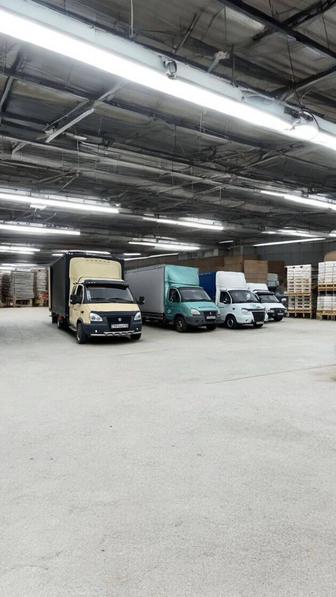 Грузоперевозки Bizon_logistic