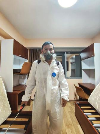 Дезинфекция