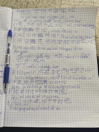 Переведу текст с китайского языка (уровень HSK 3) недорого