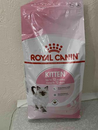 Корм Royal Canin для Котят