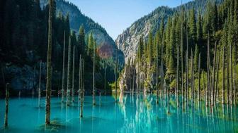 Трансфер. Заказ.