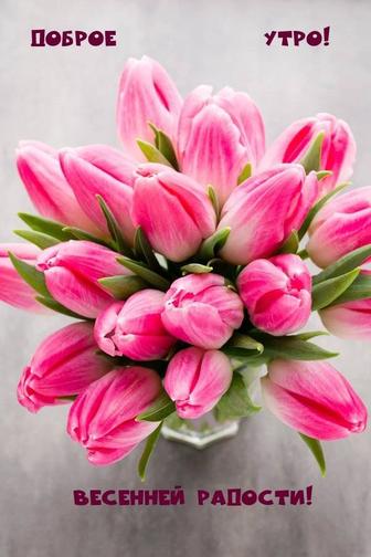 Бухгалтерские услуги