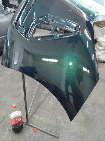 Моляр костоправ