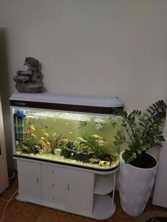 Аквариум 400 л тумбой заводской