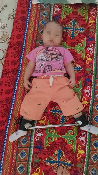 Шина Виленского