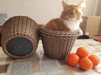 Кашпо из ротанга