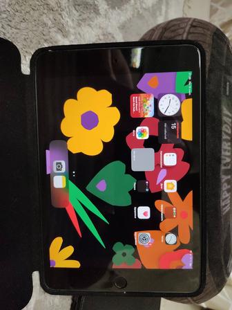 Ipad mini 5