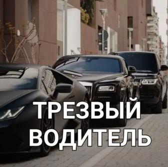 Трезвый водитель