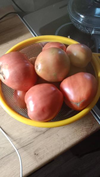 Продам домашние помидоры.