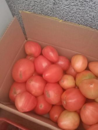 Продам домашние помидоры.