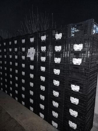 Продам ящики