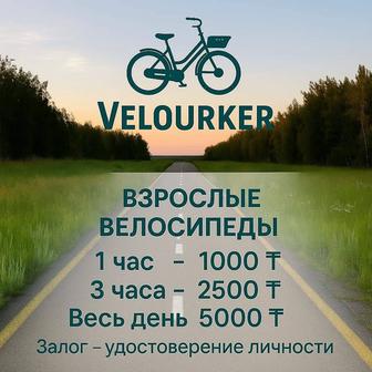Аренда велосипеда