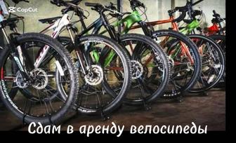 Аренда для курьеров/прогулок