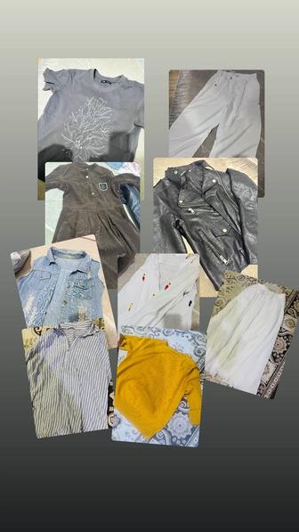 женская одежда рубашки кофты брюки куртки