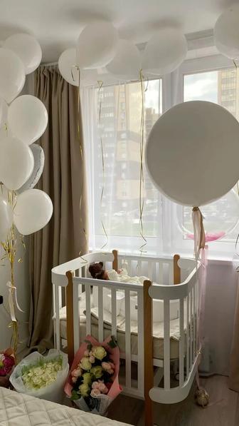 Мобилограф на день рождения,жеребец,выписка из роддома