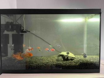 Продам аквариум с рыбками