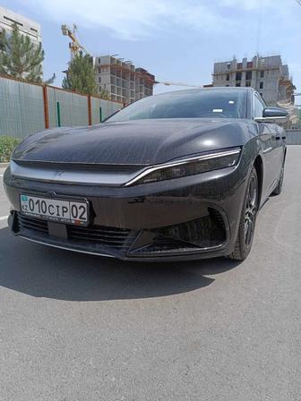 Сдам в аренду BYD HAN