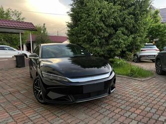 Сдам в аренду BYD HAN