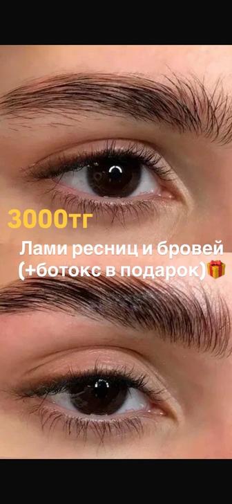 Архитектура бровей, покраска , ламинирование бровей и ресниц !!