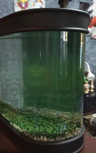 Продам аквариум 380л