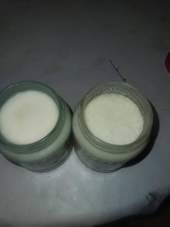 Продам гусиный жир