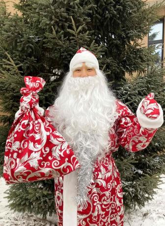 Дед Мороз на выезд