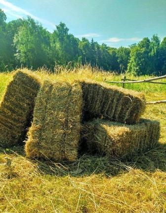 Продаем сено в тюках
