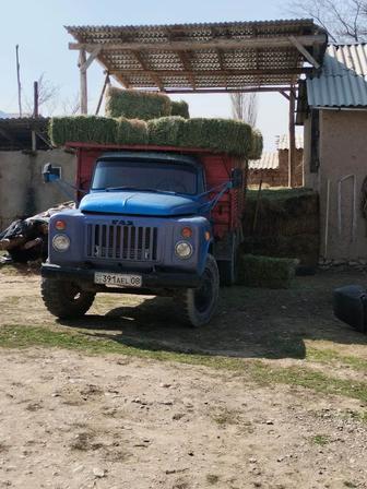 Клевер, доңышқа, трава