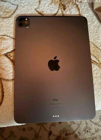 iPad 11 pro