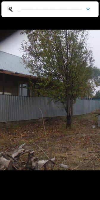 Обрезка деревьев опрыскивание от вредителей и болезней деревьев