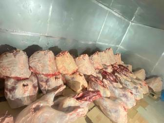 Мясо говядина