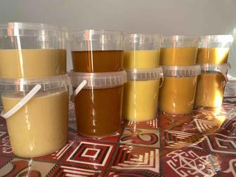 Натуральный мед оптом и в розницу