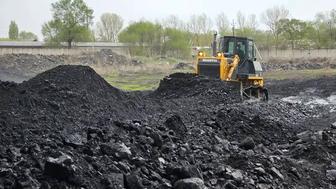 Уголь Шубарколь премиум