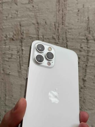 iPhone 12 Pro Max 256