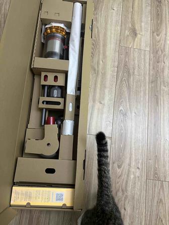 Пылесос Dyson V15 Detect absolute