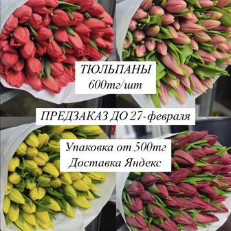 Тюльпаны предзаказ