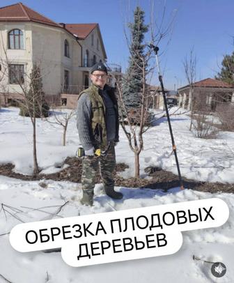 Услуги садовника Алматы и Алматинской области