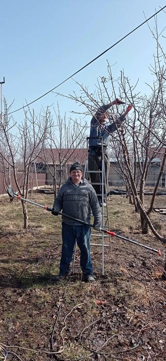 Услуги садовника Алматы и Алматинской области