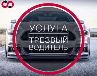 Трезвый водитель