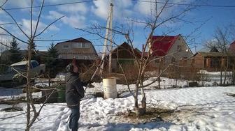 Уборка территории. Тапиарная стрижка. Опрыскивание от вредителей сада